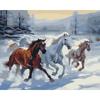 Frameless Digital Oil Painting for Entrance Hall - 40x50 Pigment Kit.