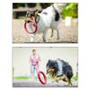 Pet Ring Flying Saucer Toysfor Dog Dog Flying Discs Outdoor Floating Interactive Toy
