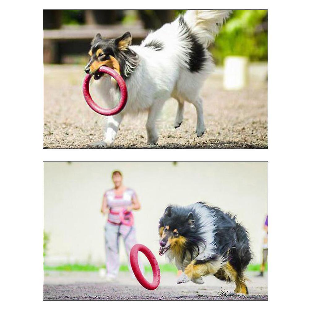Pet Ring Flying Saucer Toysfor Dog Dog Flying Discs Outdoor Floating Interactive Toy