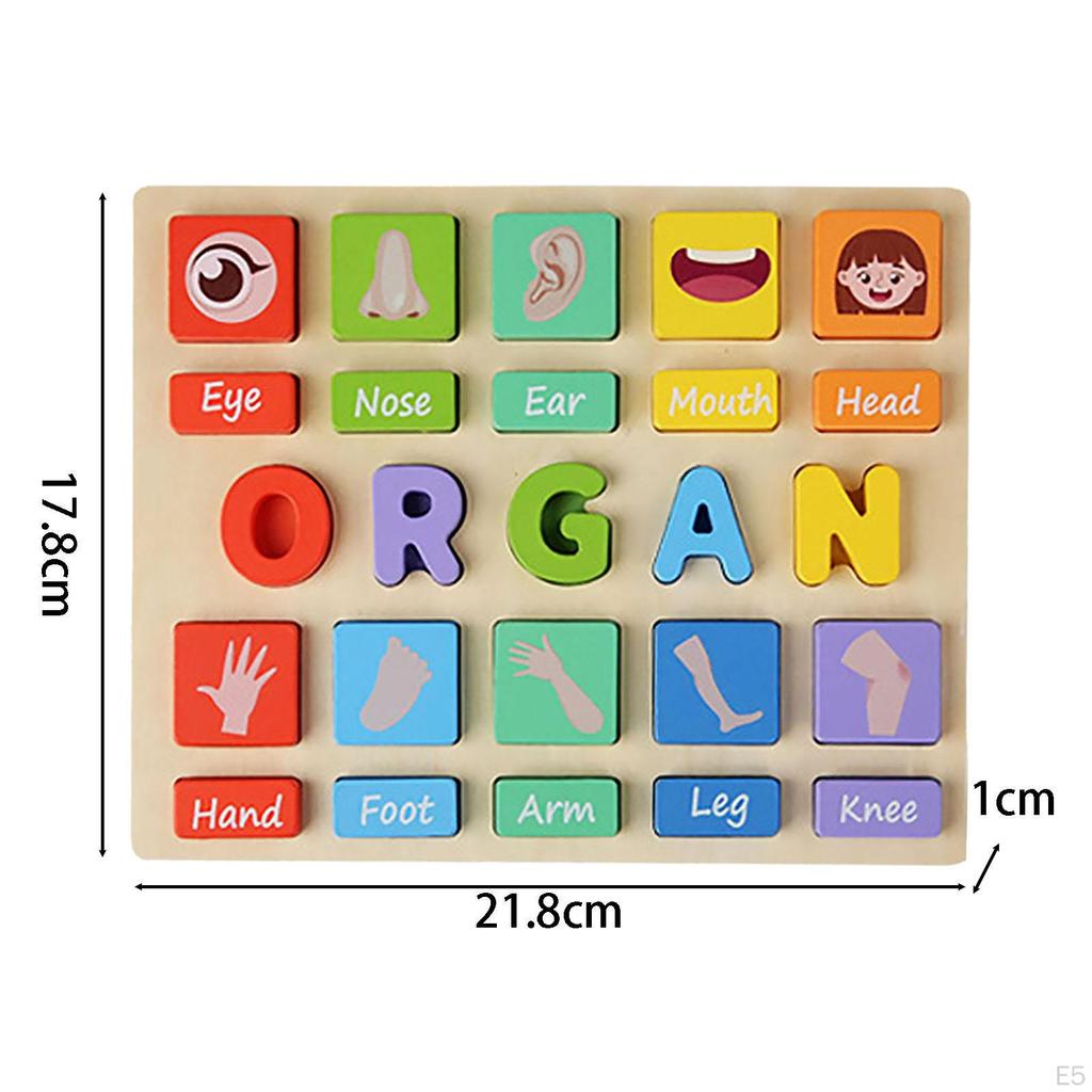Creative Wooden Brain Teaser Set for Kids - Educational Learning Tool Home