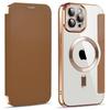For iPhone 11 Pro Max 6.5 inch Compatible with MagSafe RFID Blocking Card Slots PU Leather+TPU Electroplating Clear Back Flip Case with Lens Film