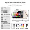 SAST Portable Home KTV Karaoke System CN plug (adapter included)