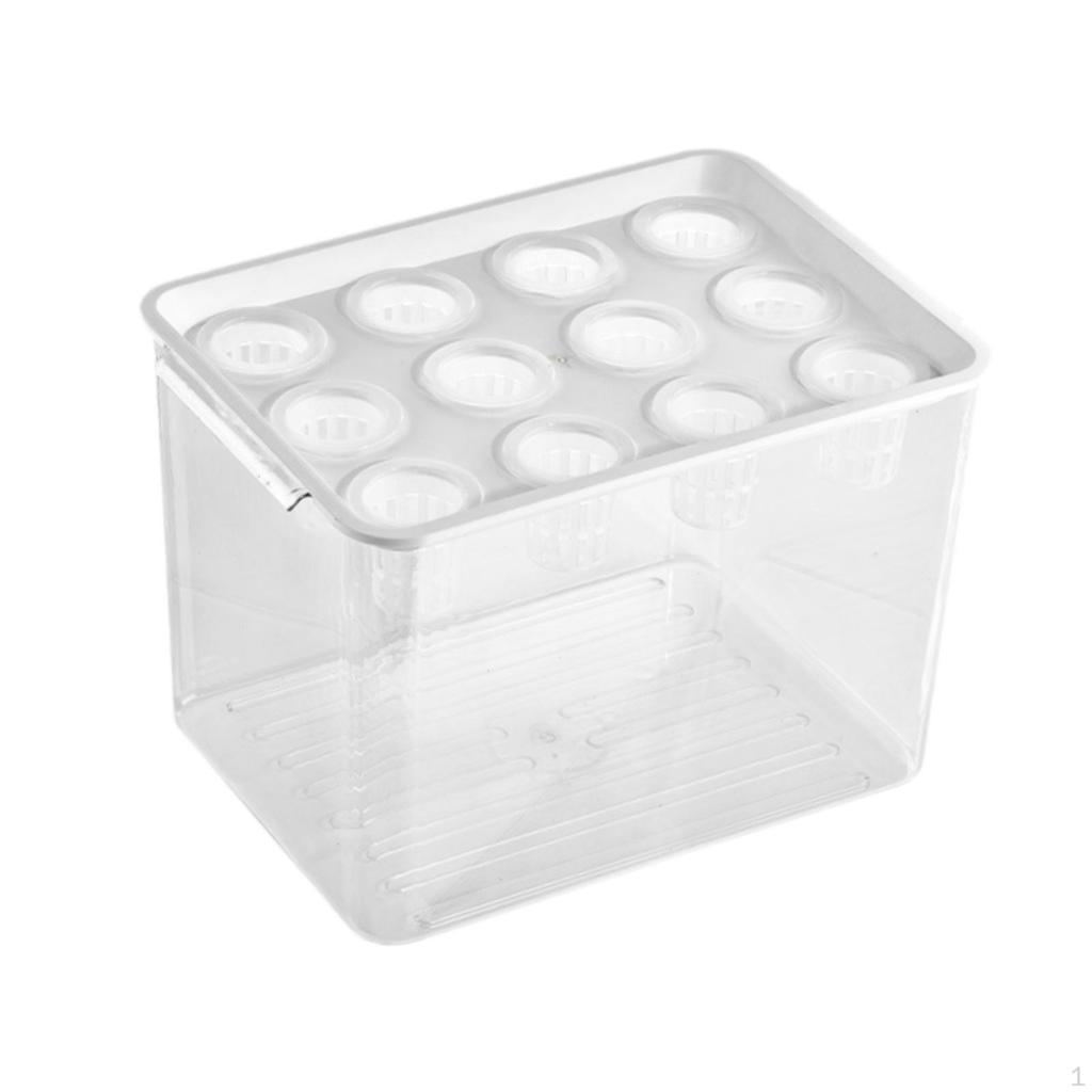 Home Hydroponics Growing Box for Microgreens Development