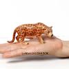 Figurina Leopardo Animali Giocattolo Figure Ocelot Pantera Ghepardo Giungla Animali Selvatici Figure Action Figure Giocattoli di Plastica Regali per Bambini