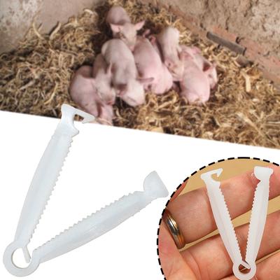 Umbilical Cord Clamp 20 Pack Portable Puppy Whelping Clamp For Pet Piglet