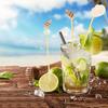 200Pcs Disposable White Seashell Cocktail Picks Conch Handmade Toothpicks Bamboo