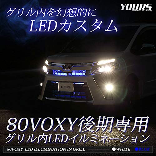YOURS .80 Voxy late model LED illumination in the grill [Blue] y012-1644[5]M