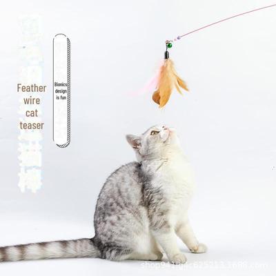 Classic Bite-Resistant Cat Teaser Stick with Feather and Bell for Self-Entertainment