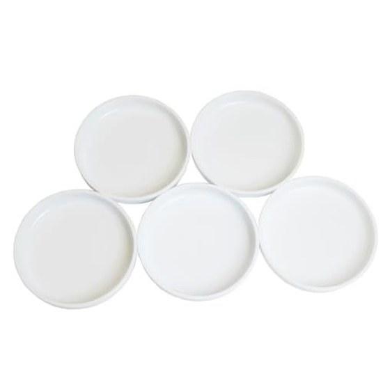 Namurataiseidou Plastic Plate Set 5 White Illustration Art Materials Beginner Japanese Painting Watercolor Oil Acrylic