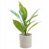 Artificial Potted Plant Realistic 34Cm Bush Bonsai Decoration