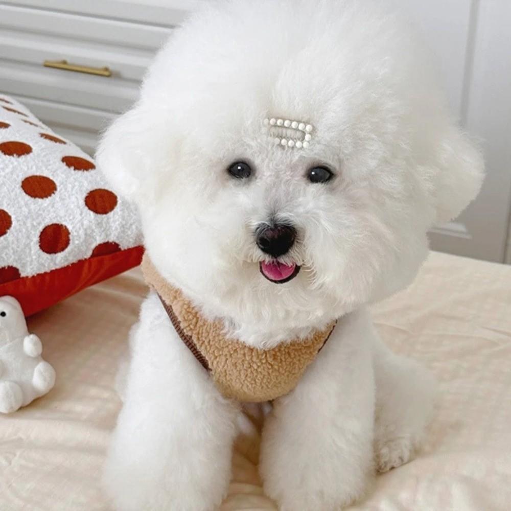 with D-Ring Pet Jacket Bear Print Pug Teddy Coat Fashion Dog Vest  Chihuahua Outfits