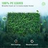 Artificial Boxwood Panel 12pcs 10" X 10" Grass Hedge Wall Mat for Fence