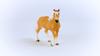 Schleich Horse Club Haflinger 13950N (female)