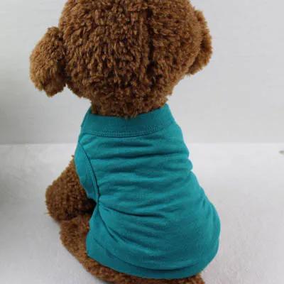 Magliette per Cani in Puro Cotone Abbigliamento Vuoto per Cuccioli Cani Piccoli Medi Grandi T-shirt Morbida Sottile Gilet per Cani Magliette Intime per Gatti