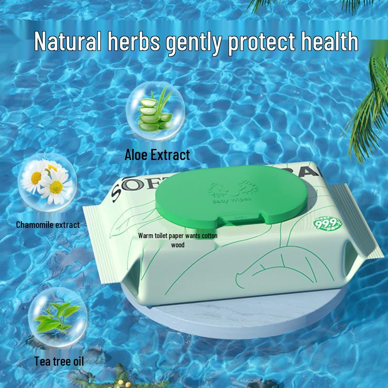 Biodegradable Antibacterial Flushable Wet Toilet Wipes - 40 Sheets (Clog-Free and Eco-Friendly)