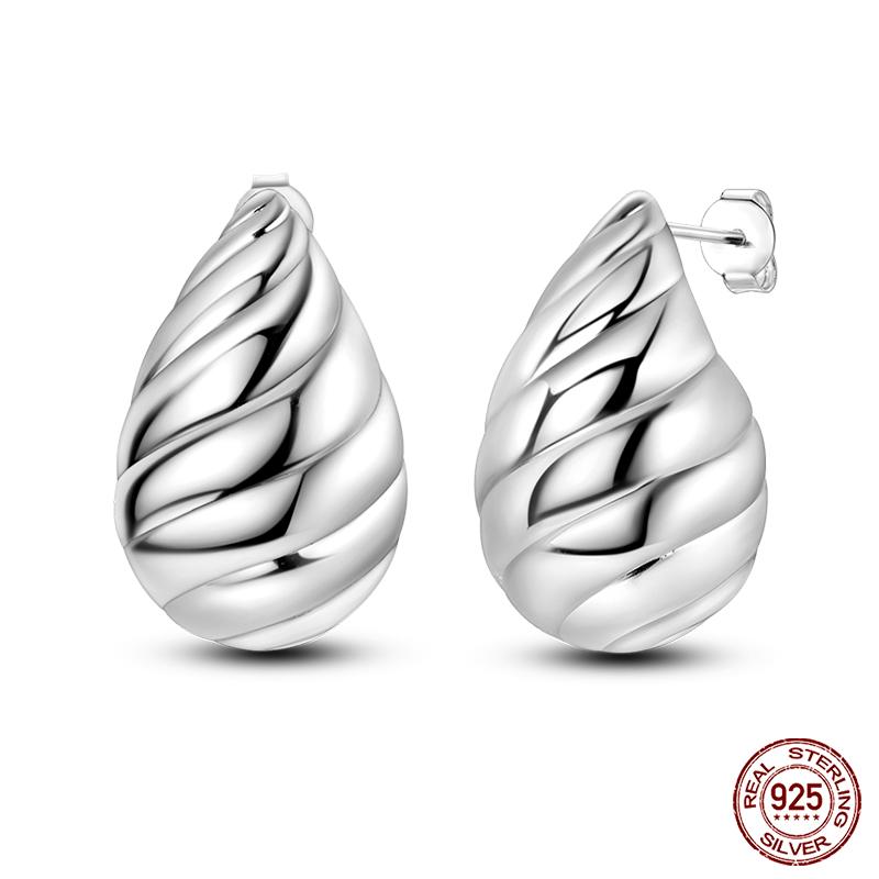 New 925 Sterling Silver Hope Rainbow Flower Earrings For Women Sparkling Colored Zircon Star Koi Earrings Party Jewelry