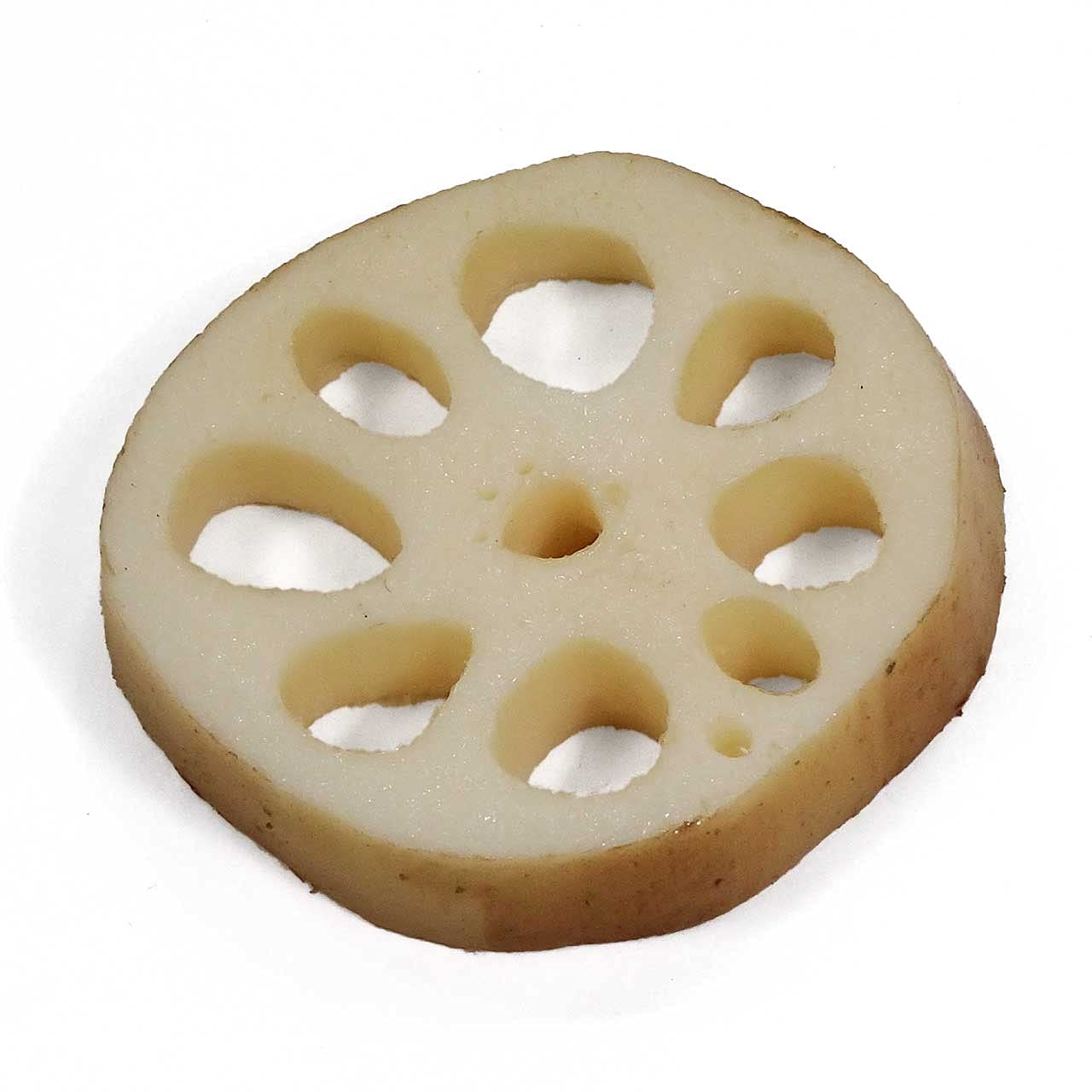 

stomach will rumble every time you look at Lotus root slice food sample magnet gift 339M Coconut Accessories [Your it] - cute, funny, souvenir, білий