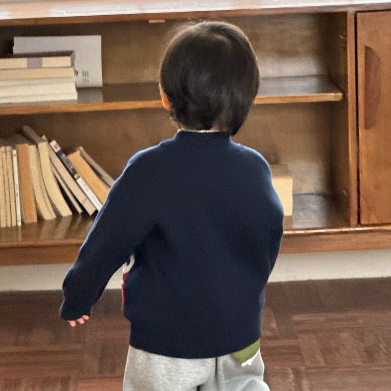 Boys' Fleece Sweater for Autumn and Winter, Thickened Round-Neck Knitwear for Children, Baby Base Shirt, Children's Clothing, Girls' Knitwear