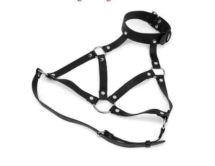 Erotisches Leder Bondage Halsband und Flirtbekleidung