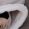 Couette Lit Sac de Couchage Doux pour Chat Type Poche Confortable Lit d'Hiver pour Chat Épais Sensation Moelleuse Nid Chaud pour Chat Fournitures pour Chatons