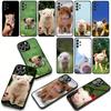 Cute Pig funny Phone Cover Case for Samsung Galaxy A36 A17 A26 A07 A35 A54 A53 A13 A33 A34 S8 S9 S20 S21 FE S10 Plus Casing