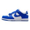 Dunk Low