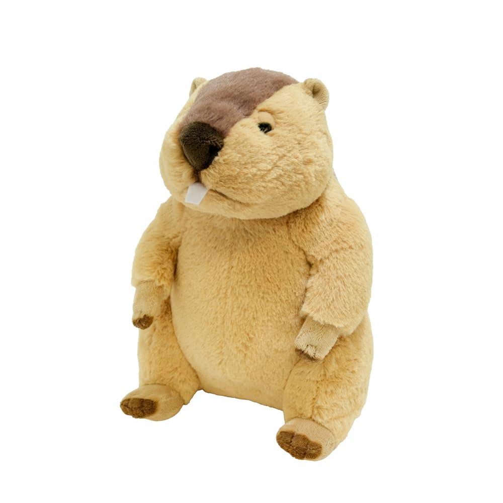 Sunlemon Fluffies M Marmot x 25 x 22cm Plush Animal Cute Animal 15.5 P-1903