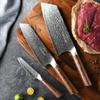 Cuțit VG10 Set de Cuțite din Oțel Damasc Cuțit de Legume și Fructe Tăietură Ascuțită Ideal pentru Uz Casnic și Cadouri Set de 3 Piese NANFANG BROTHERS (Santoku,