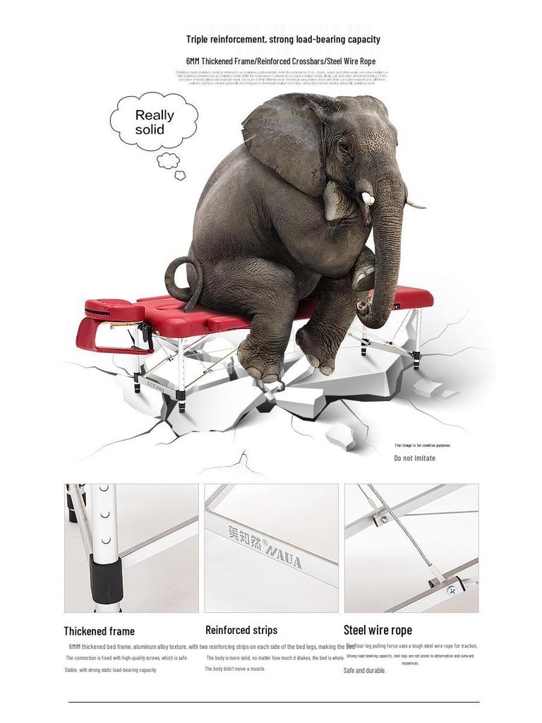 Meizhiyan Portable Aluminum Massage Bed for Home, Tattoo, and Physiotherapy Use