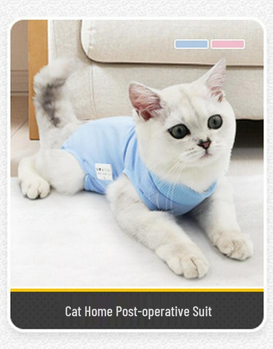 Breathable Cat Neutering Suit: Easy Snap-On Recovery Wear
