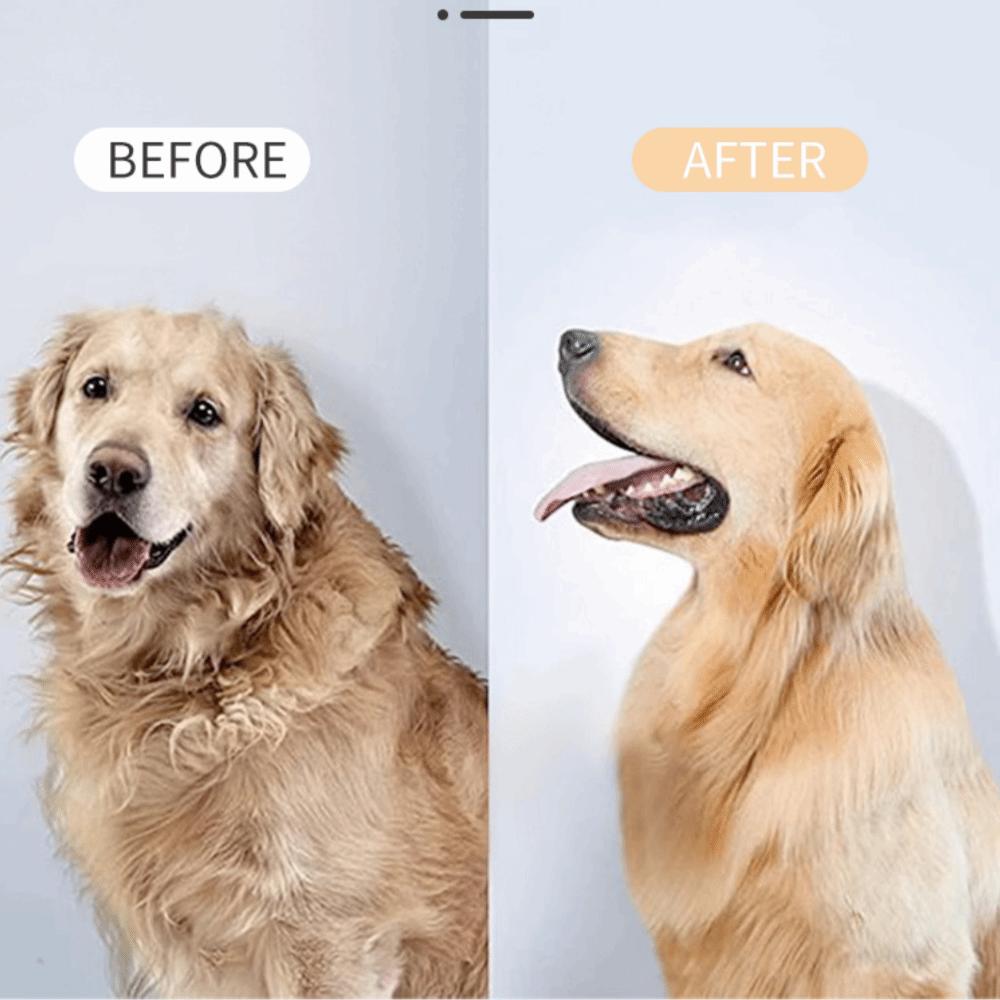 Detangling Pet Grooming Comb Portable Dog Hair Dryer Pet Accessories Cat Hair Remover  Pet Bath