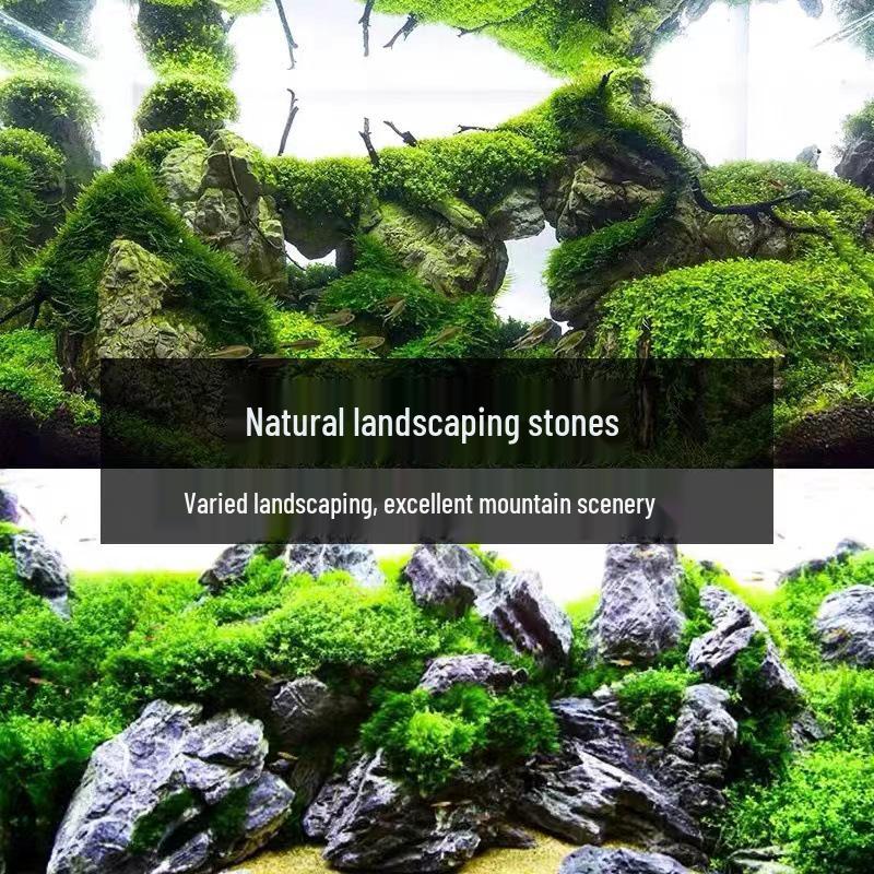 Azure Dragon Stone Aquarium and Terrarium Ornament - Micro Landscape Decoration for Fish Tanks and Bonsai.