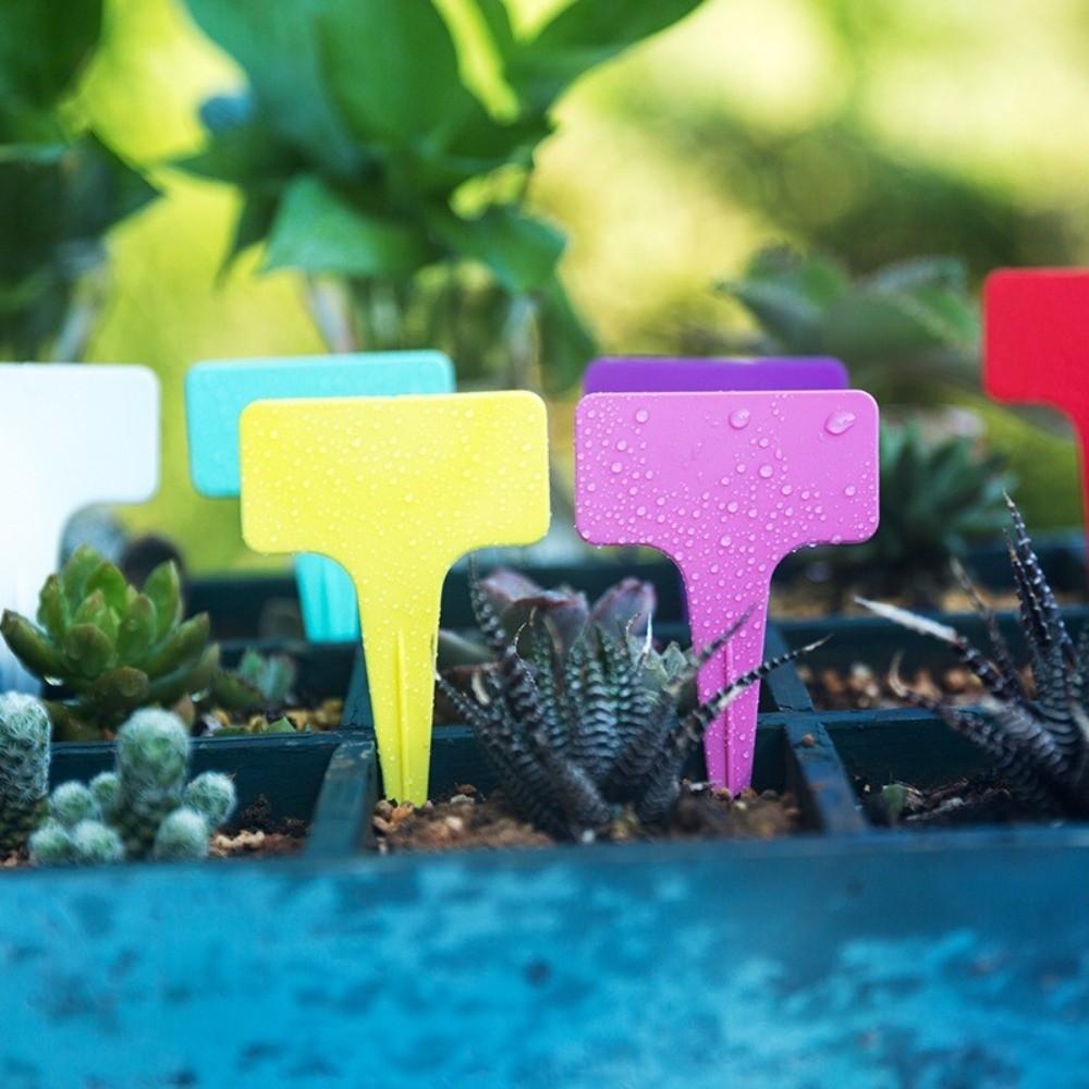 100PCS Waterproof Nursery Garden Plant Tags Moisture-proof Thickened T-type Tags Sunscreen Decorative Stake Tags Potted Plants