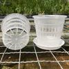 5 Pcs Meshpot Clear Plastic Orchid Pots With Tray Plastic Clear Flower Plant Repotting Desktop Plant Orchid Pot