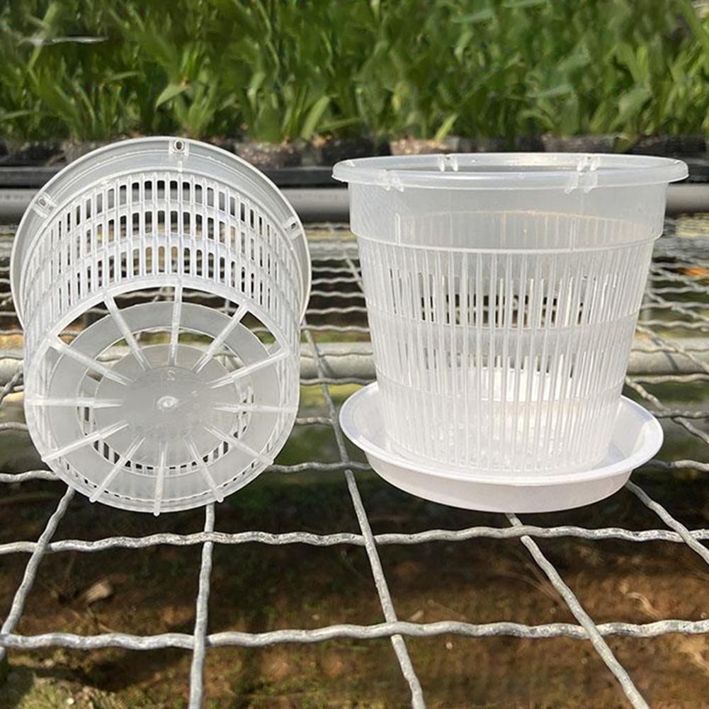 5 Pcs Meshpot Clear Plastic Orchid Pots With Tray Plastic Clear Flower Plant Repotting Desktop Plant Orchid Pot