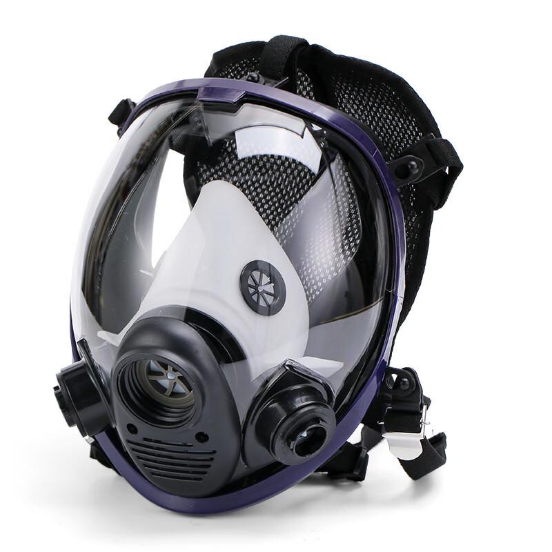 DAXTE Reusable Full-Face Respirator Mask