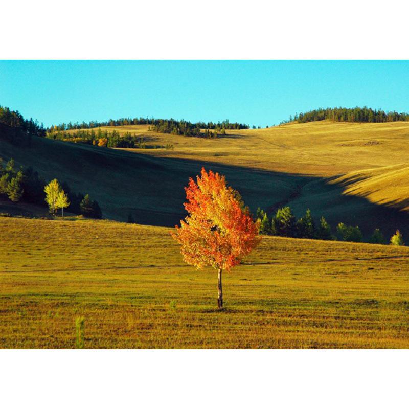 Siberian Scenery Poster: Kraft Paper Framed Wall Art