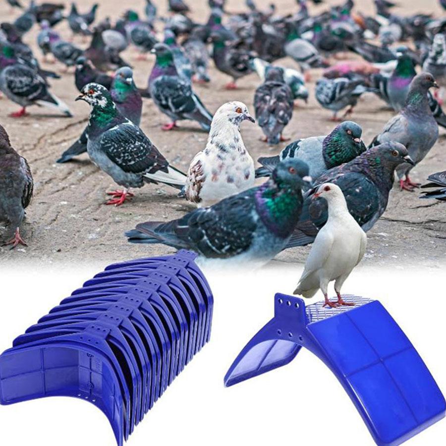 Pigeon Perch Stand, Plastic Pigeon Habitat Bracket, Durable & Lightweight, Weather-Resistant, Easy To Install