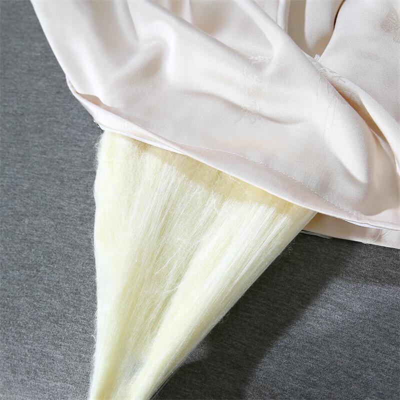 You Meng Jia Ju Classic Tussah Silk Summer Quilt