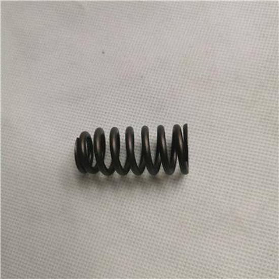 Foton Valve Spring for SPV10001614E9300