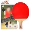 Double Fish 9-stjärnig Bordtennisracket