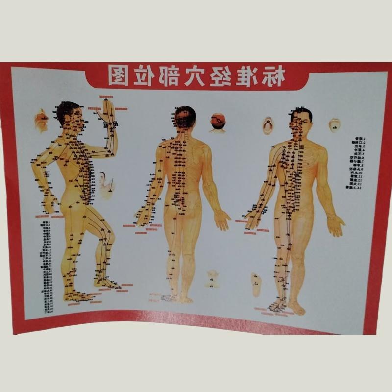 Meridian Afslankborstel Handheld Afslanken Been Buik Afslanken Schoonheidssalon Massage Tool Multifunctionele Massage Meridian Borstel