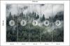 Photomural Forest In The Morning Mist Structural Vinyl 416x254