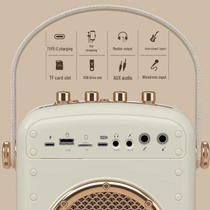 Newman K513 Portable Bluetooth Karaoke Speaker with Dual Microphones CN plug (adapter included) (CN version)
