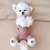 Elastic Four-Legged Dog Pajamas Long Sleeves Soft Dog Jumpsuit Comfortable Anti-licking Striped Dog Base Shirt Home Wear