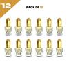 El Nabil Musc Bella Parfum Concentré Sans Alcool 12*5ml