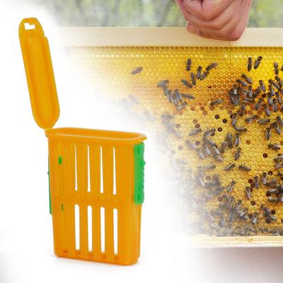 Owady – Pszczelarstwo