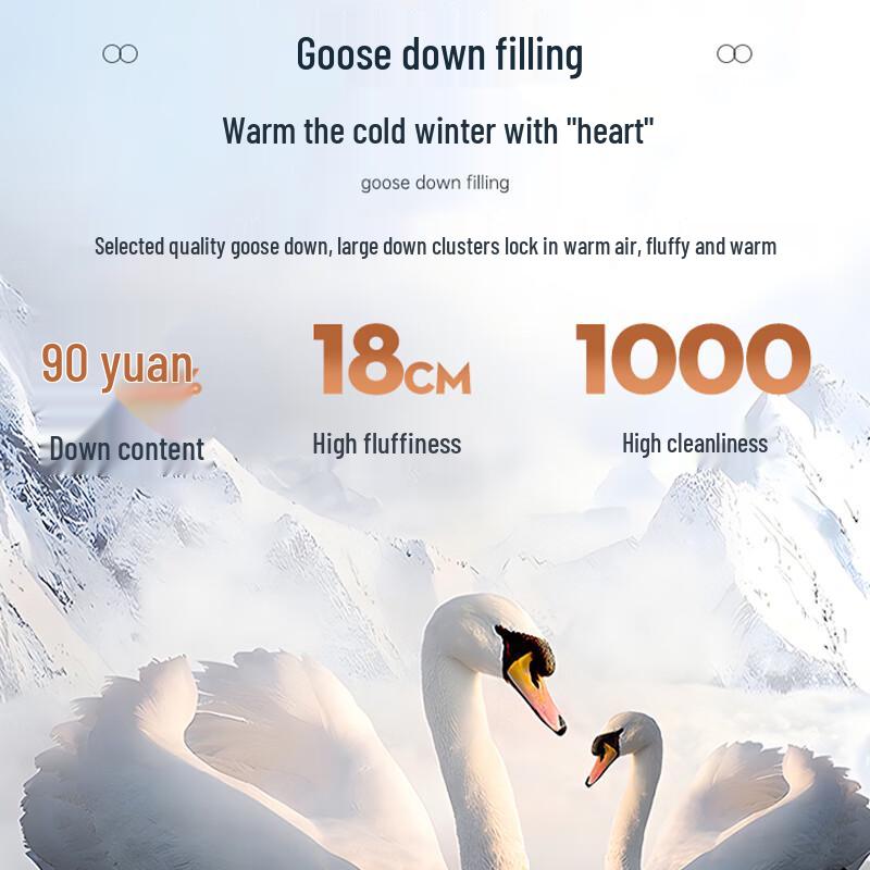 Men's 3-in-1 Detachable Hood Goose Down Winter Parka
