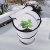 Frost Blankets For Outdoor Plants PopUp Winter Frost Plant Cover Round Garden Plant Frost Protection Tent For Greenhouse