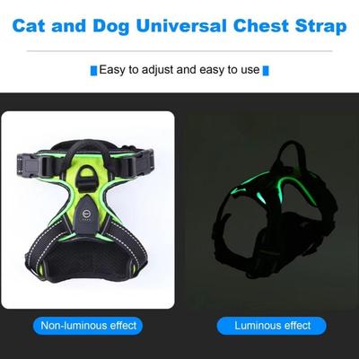 Light Up LED Dog Harness Adjustable Flashing Luminous Pet Chest Strap Rechargeable Padded Collar Dog Glow Vest Cats Pet